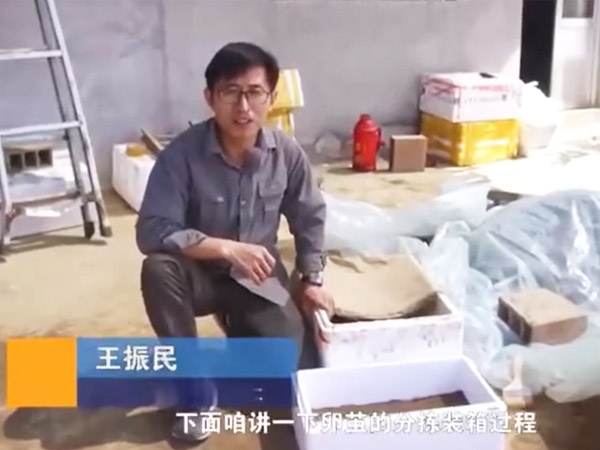 虫卵分拣装箱教程