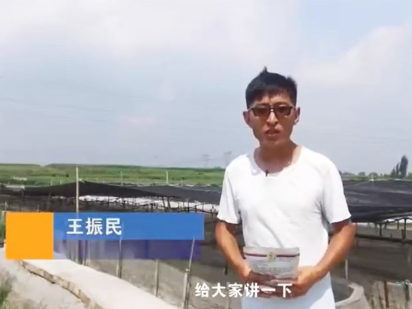 菌种介绍-EM菌介绍