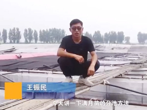 宝运莱满月苗的分池步骤