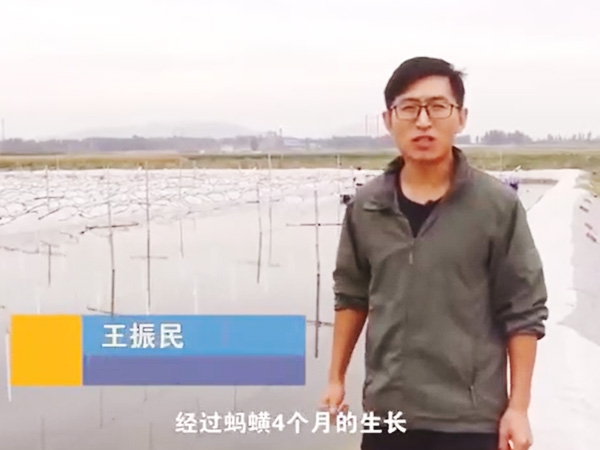 宝运莱收成流程